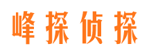 友好侦探公司